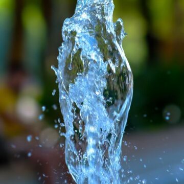 Image copyright