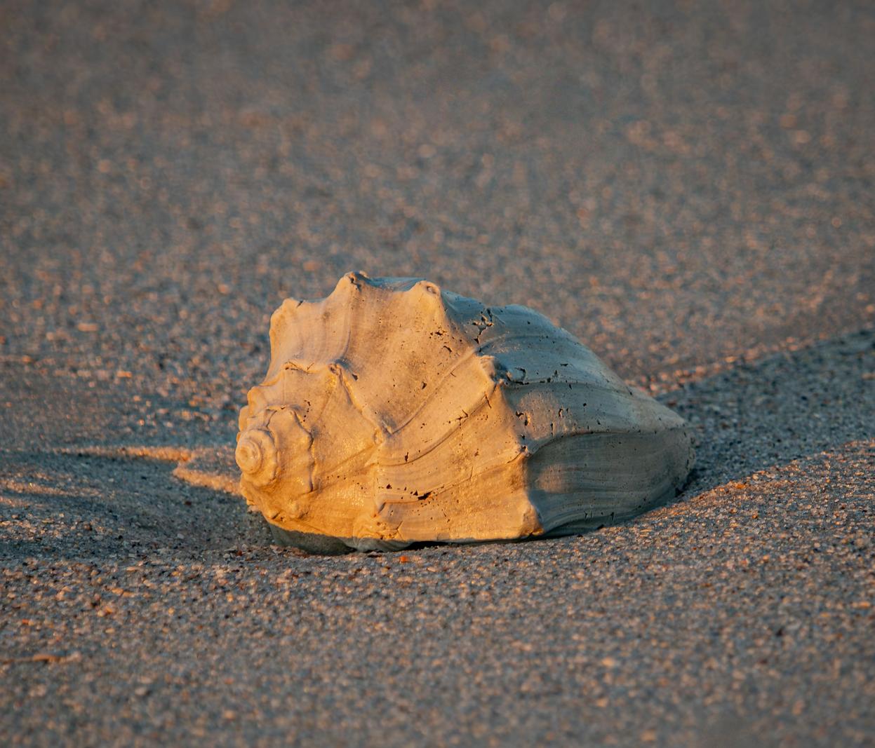 Image copyright Gordon Backman