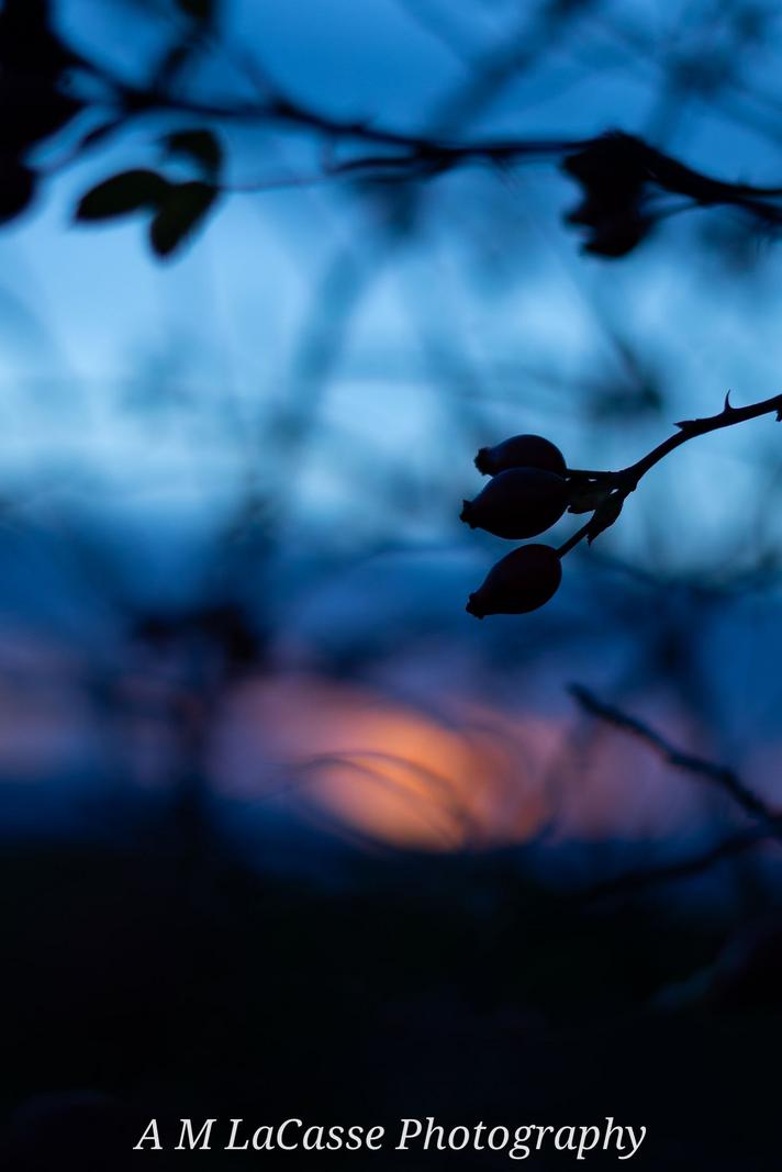 Image copyright Alan