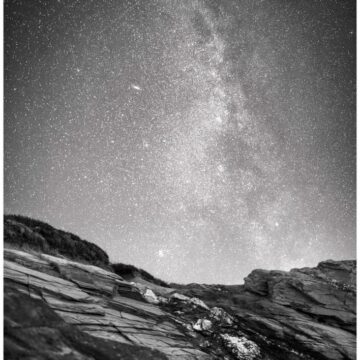 Image copyright Kevin