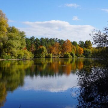 Image copyright Sue Korkis