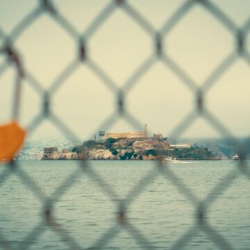 Image copyright Sofia Castelbranco