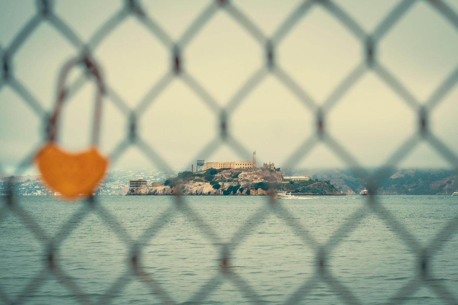 Image copyright Sofia Castelbranco