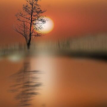 Image copyright CRISTIAN