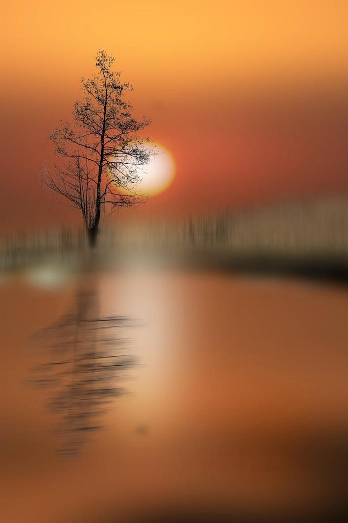 Image copyright CRISTIAN