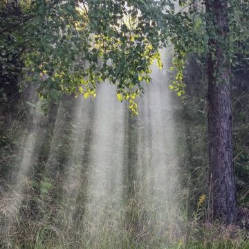 Image copyright Maria Silenius
