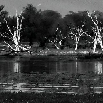 Image copyright Stephen Jones