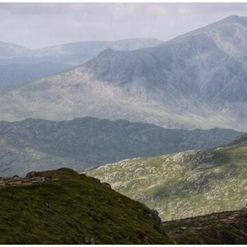 Image copyright Andrew Steward