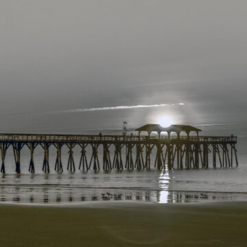 Image copyright Gordon Backman
