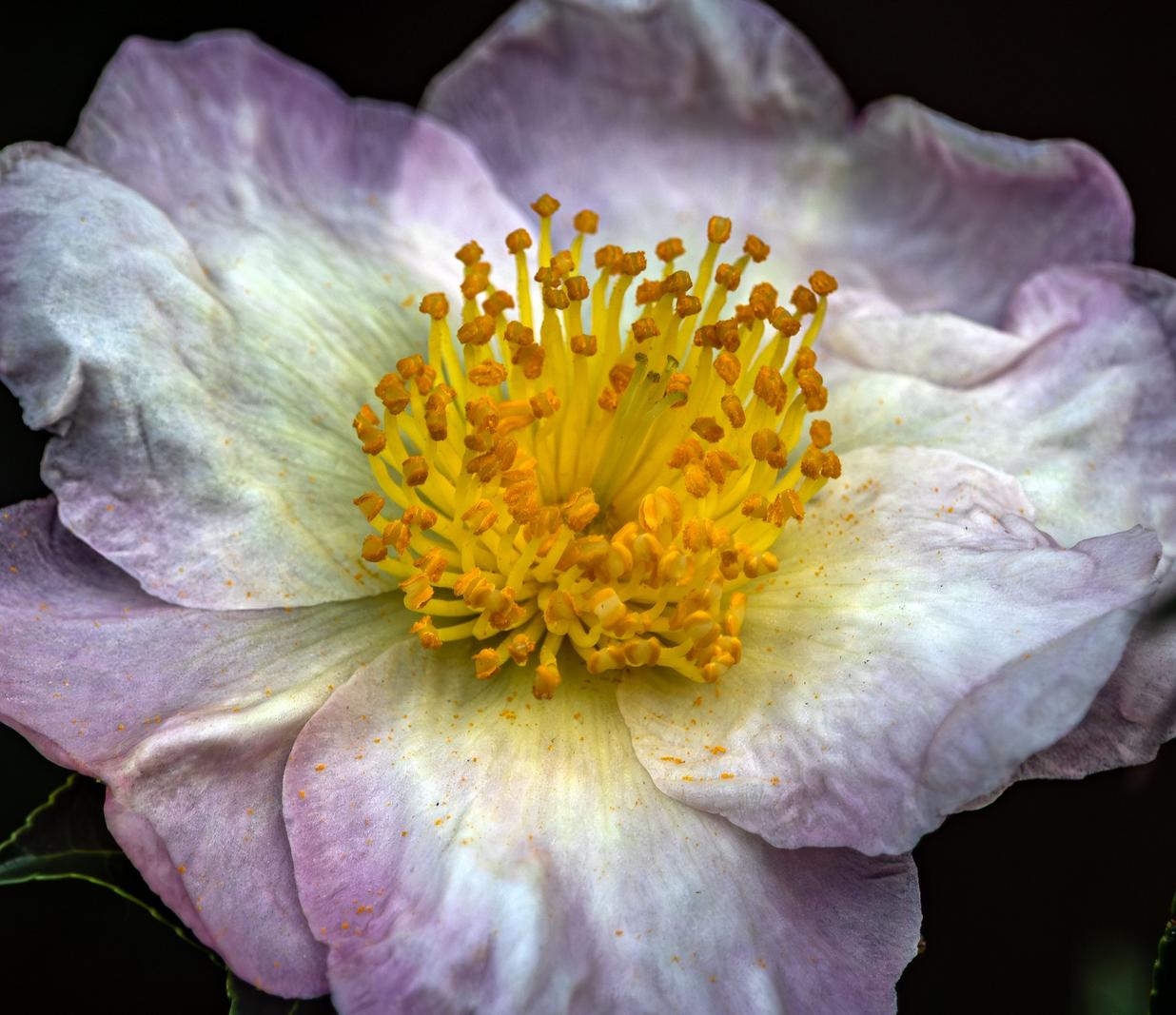 Image copyright Gordon Backman