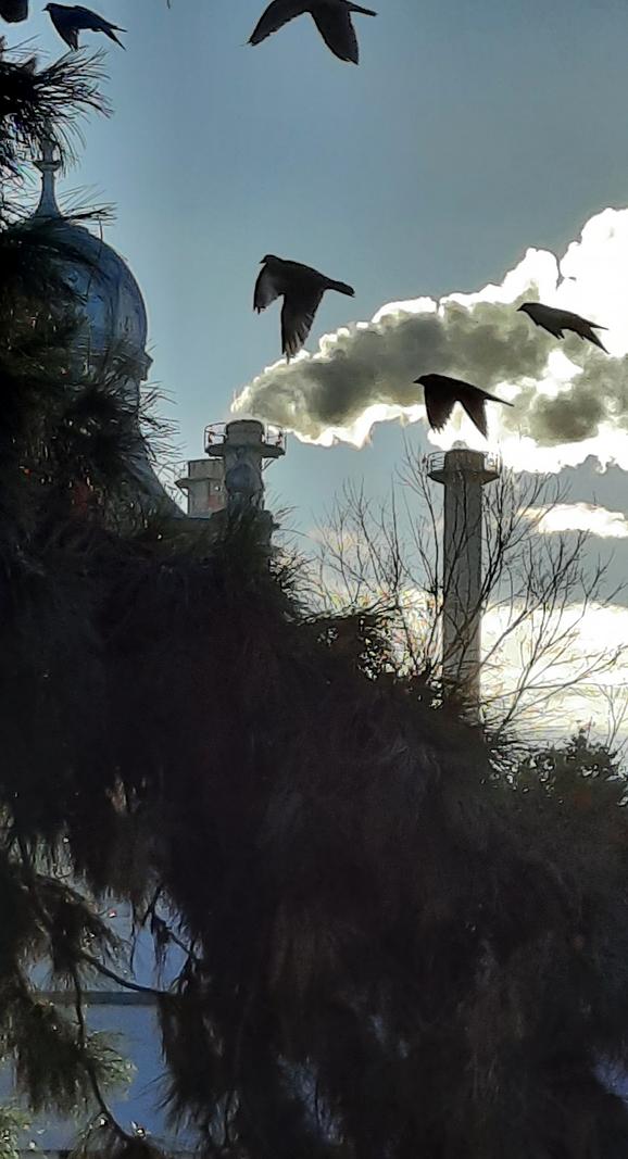 Image copyright Miki