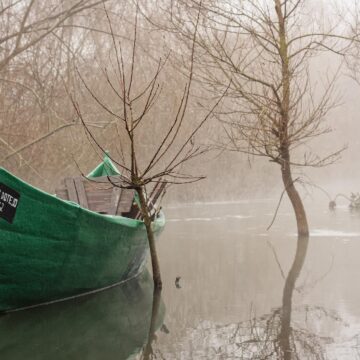 Image copyright Carlos Paula
