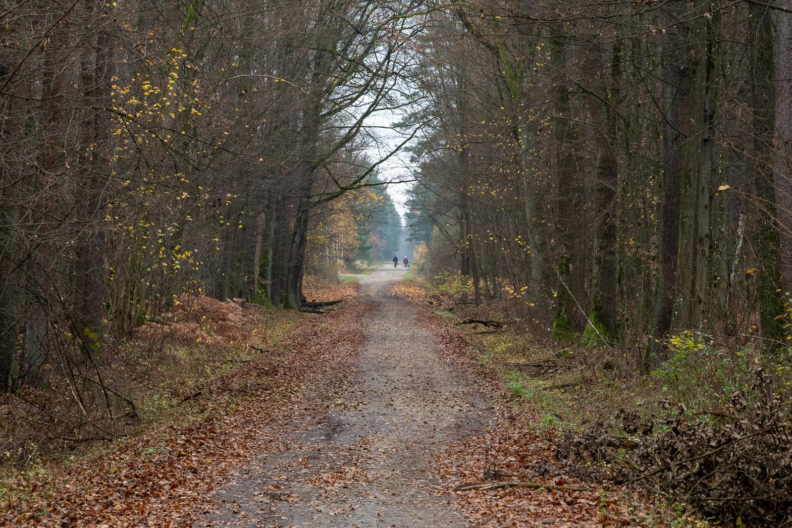 Image copyright Piotr Świtkowski