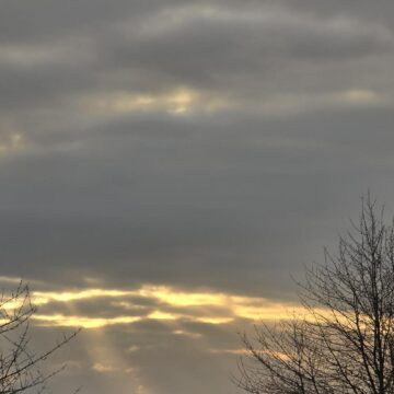 Image copyright Wendy