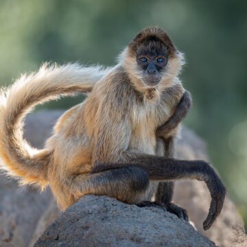 Image copyright Steven