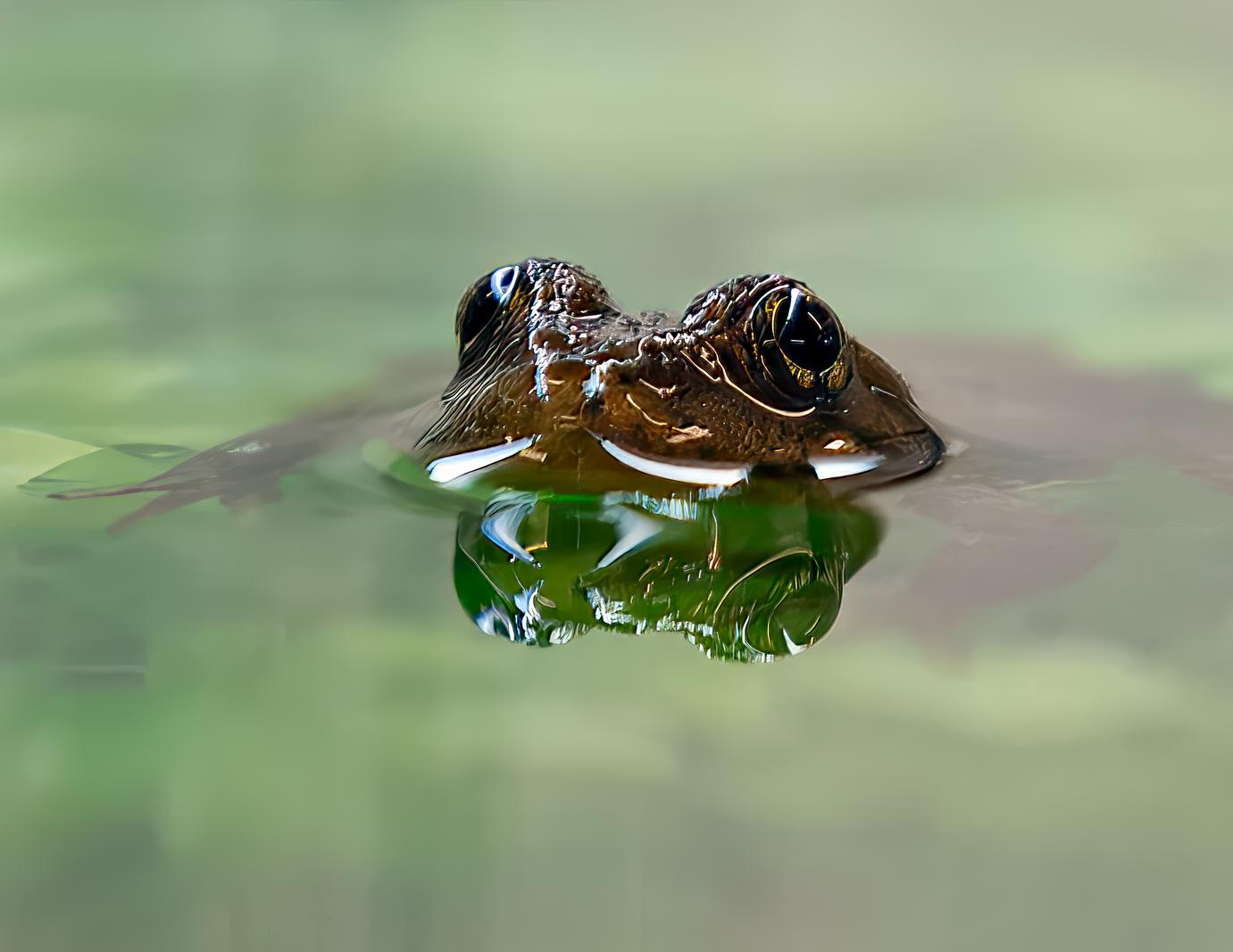 Image copyright Steven