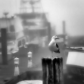 Image copyright Richard Kuykendall