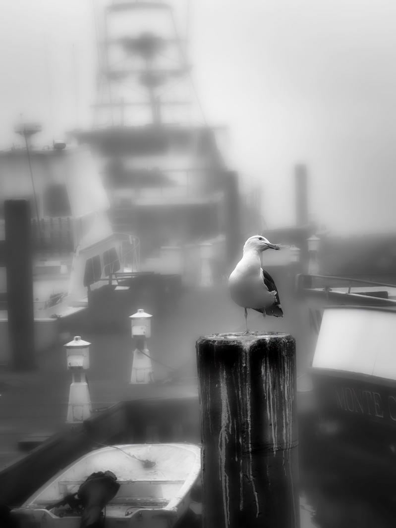 Image copyright Richard Kuykendall
