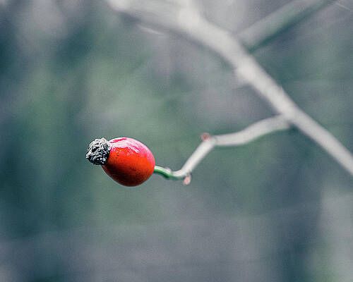 Image copyright Ingela