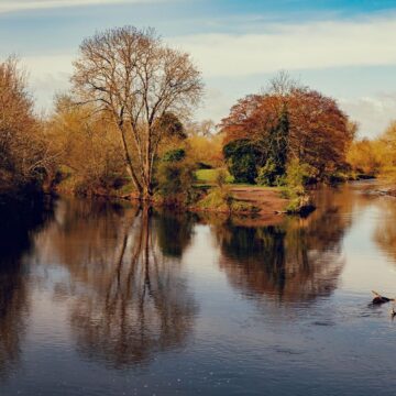 Image copyright Eric Bell Anthony