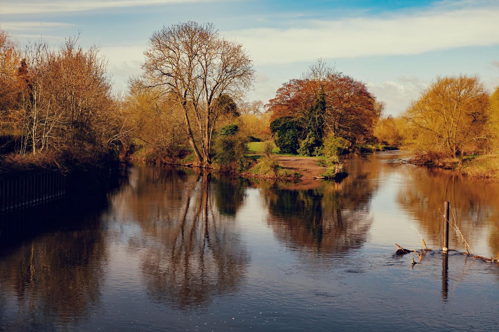 Image copyright Eric Bell Anthony