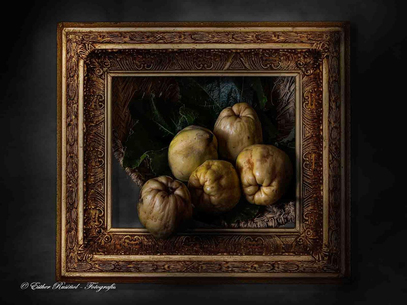 Image copyright Esther Rusiñol