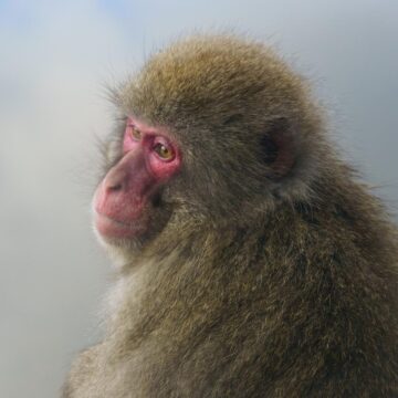 Image copyright Stephen Keenan