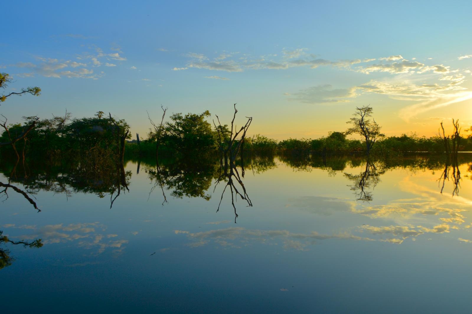 Image copyright Ronaldo Dilascio