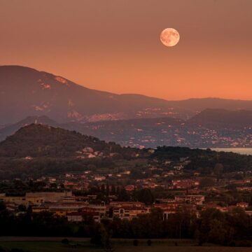 Image copyright Michael Schwarz