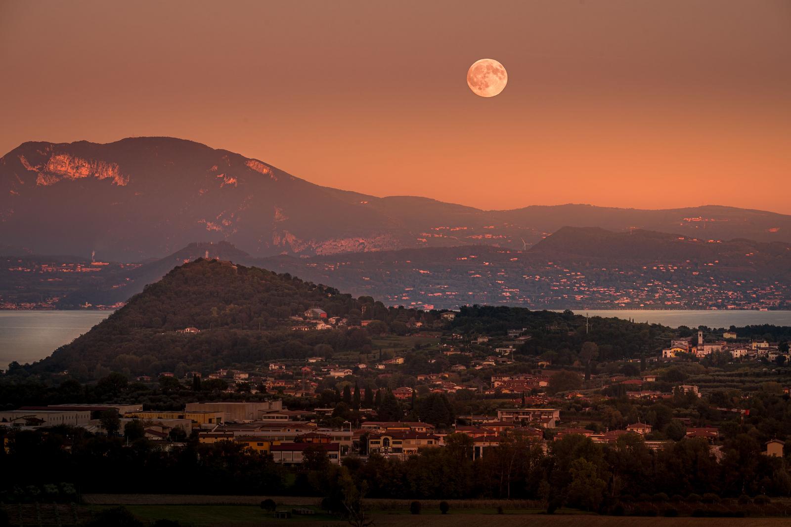 Image copyright Michael Schwarz