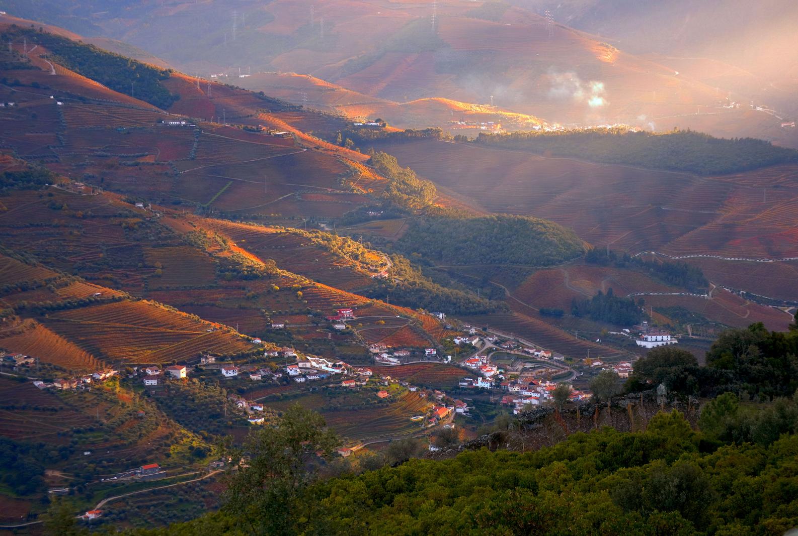 Image copyright Cândido Pereira