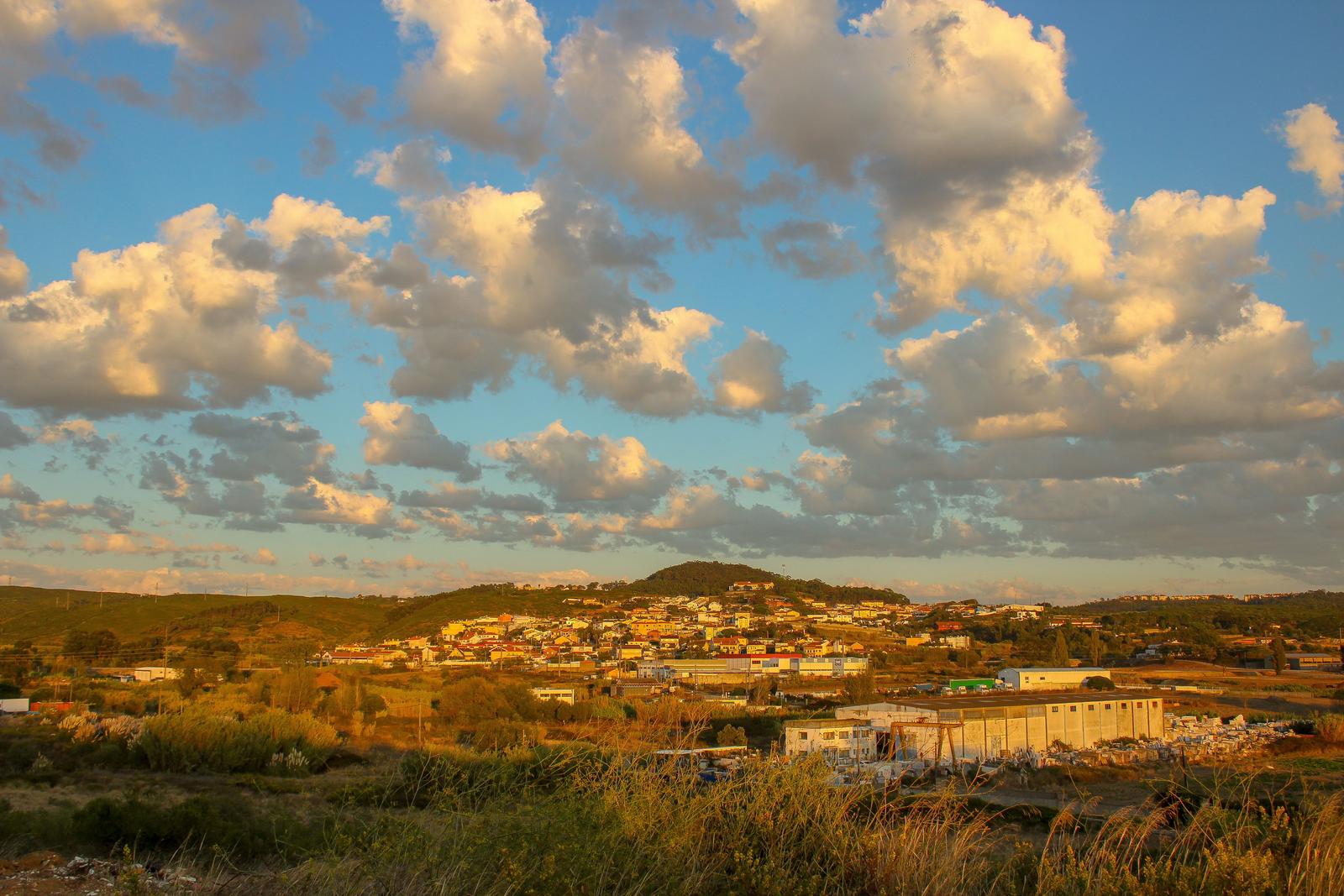 Image copyright Mário Jorge