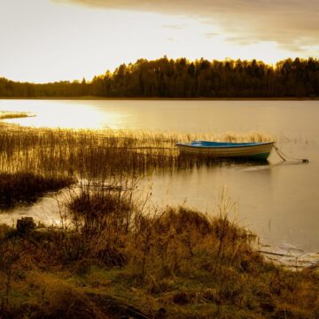Image copyright Anneli