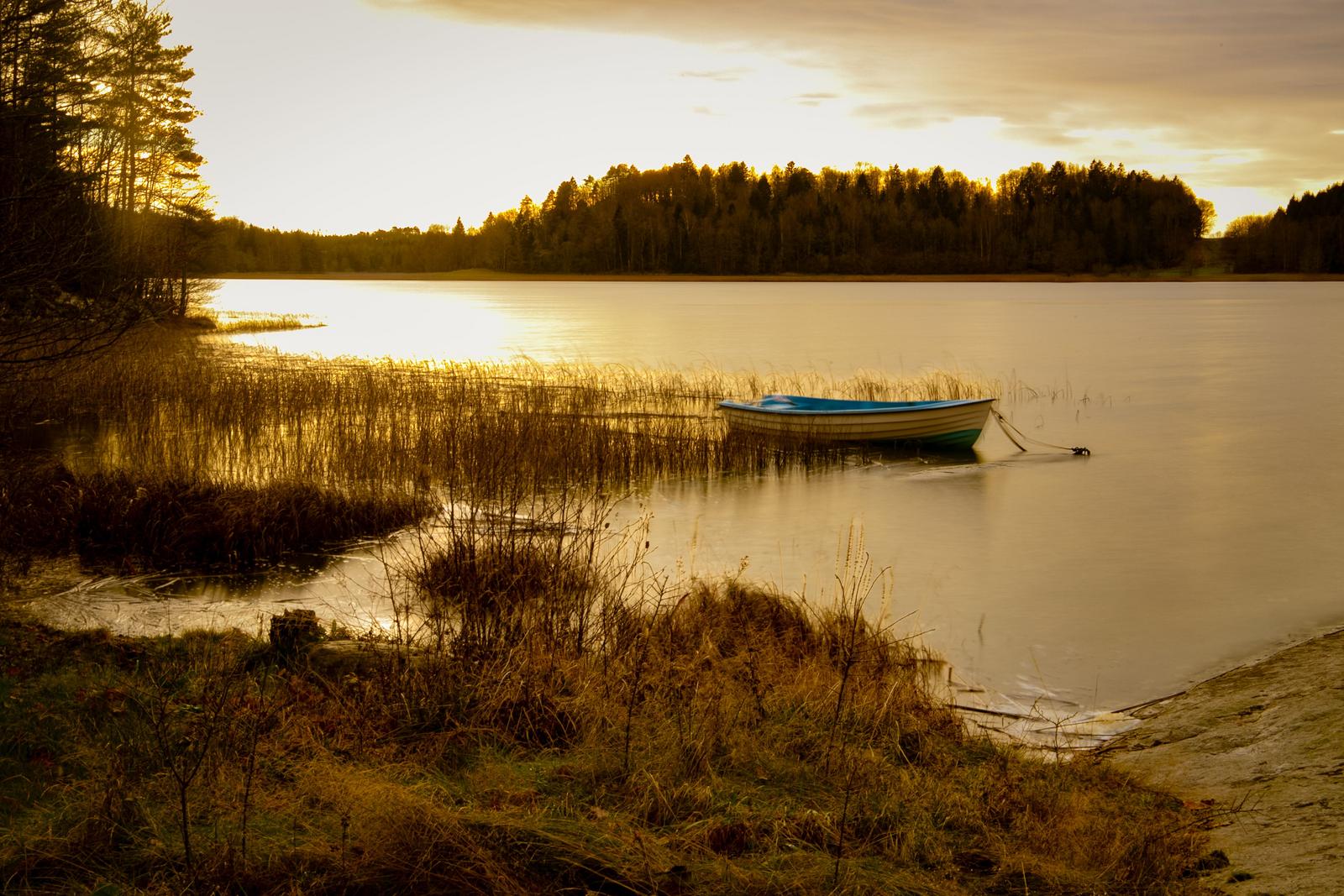 Image copyright Anneli
