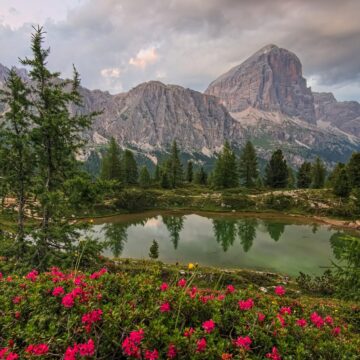 Image copyright Jakub Zahumensky