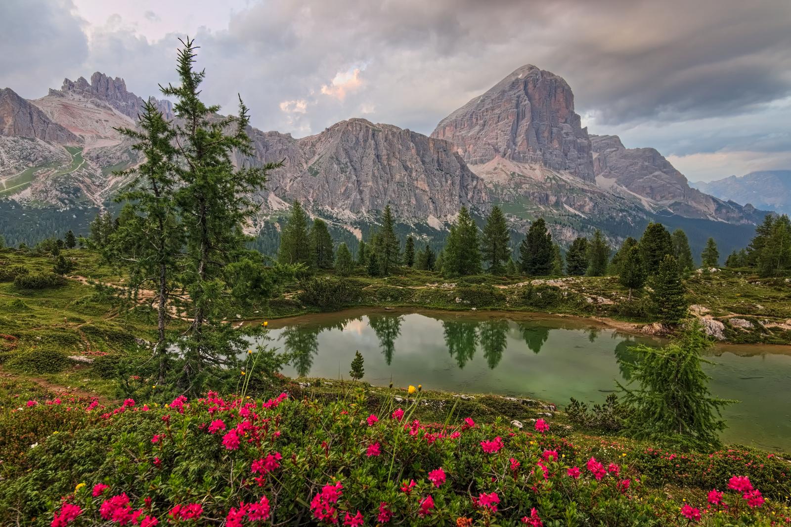 Image copyright Jakub Zahumensky