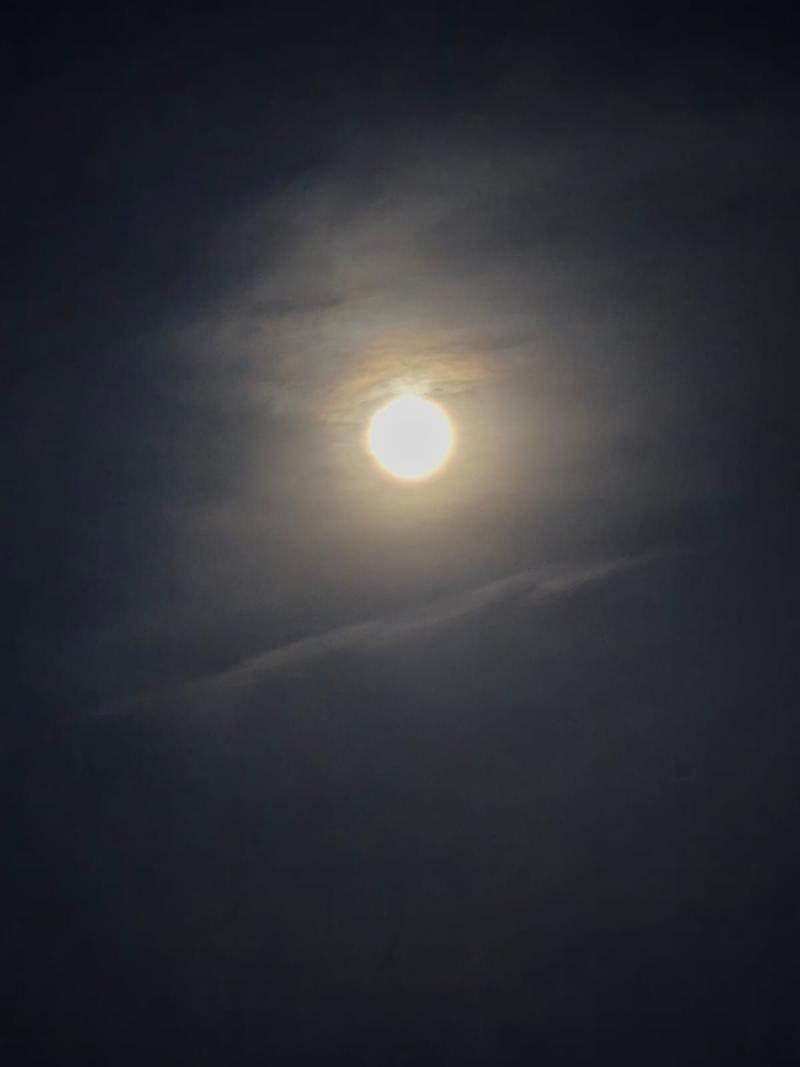 Image copyright Lorena