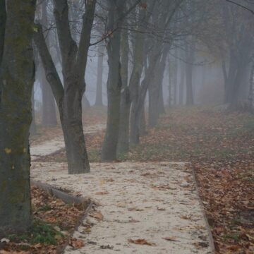 Image copyright Sue Korkis