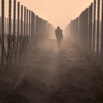Image copyright Alfred