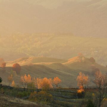 Image copyright Mircea Gheorghe