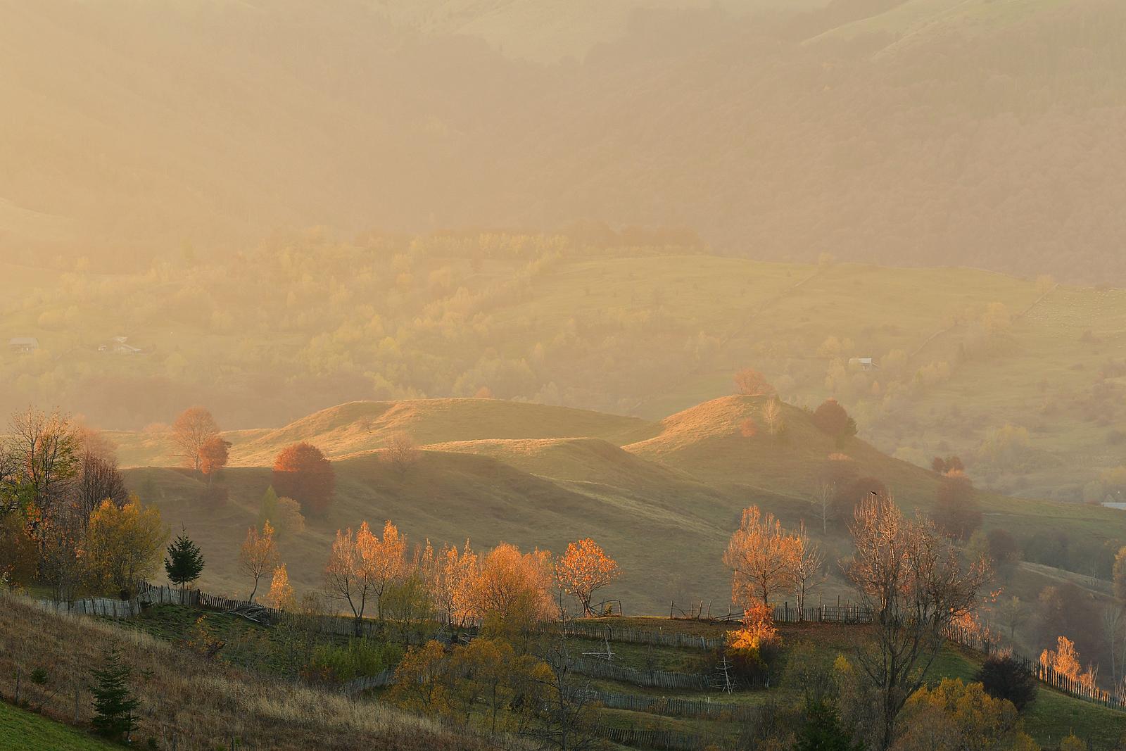 Image copyright Mircea Gheorghe