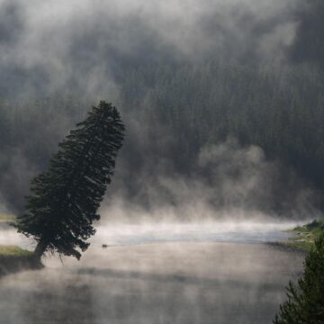 Image copyright Mike Keefe