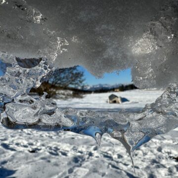 Image copyright Gregorio Marafioti