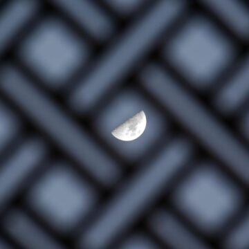 Image copyright Lasha