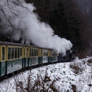 Image copyright Ioan Herlo