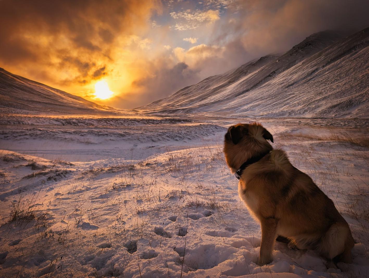 Image copyright Hjalti Reynisson