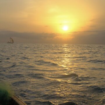 Image copyright