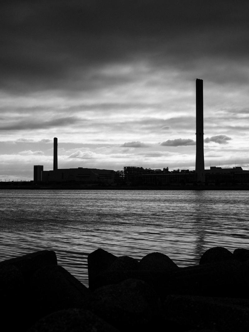 Image copyright Peter Gordon