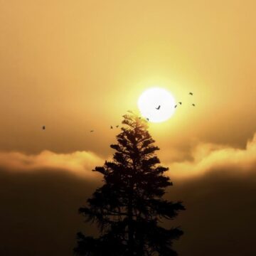Image copyright Richard Kuykendall