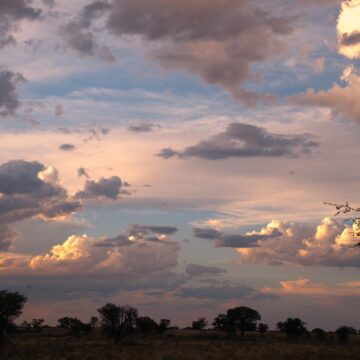 Image copyright PAT ALLUM